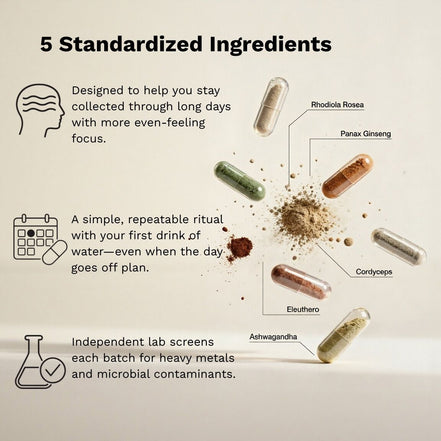 Standardized ingredient graphic for Continuum showing labeled capsules—Rhodiola rosea, Panax ginseng, Cordyceps, Eleuthero, and Ashwagandha—with notes on daily routine and independent lab screening for heavy metals and microbial contaminants.