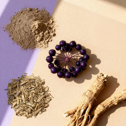 Eleuthero powder, dried leaves, and roots arranged on a beige and purple background.