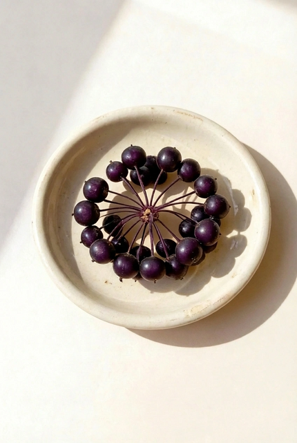 Eleuthero fruit on a white ceramic plate with a neutral background.