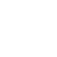 icon-brain-white-192.png